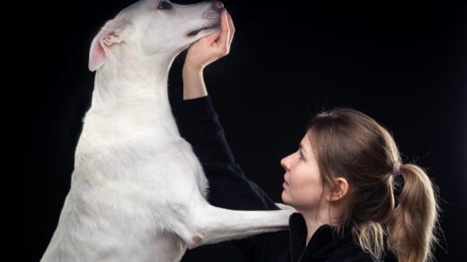 Psia behawiorystka poświęcająca uwagę i troskę konkretnemu psu, który trzyma łapę na jej ramieniu